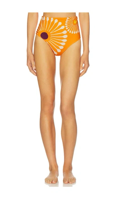 Cala De La Cruz Elisa Bikini Bottom In Multi