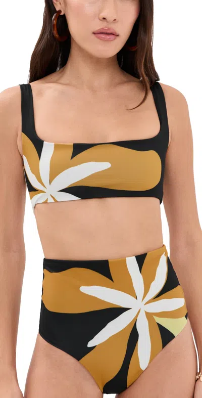 Cala De La Cruz Francesca Bikini Top Cattleyabw In Multi