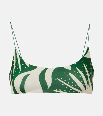 Cala De La Cruz Isla Printed Bikini Top In Green