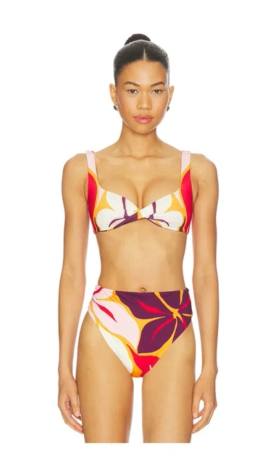 Cala De La Cruz Leon Bikini Top In Multi