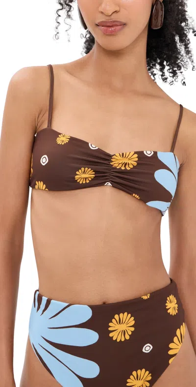 Cala De La Cruz Lilo Bikini Top Gioiacafe In Brown