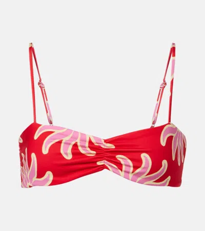 Cala De La Cruz Lilo Printed Ruched Bikini Top In Red