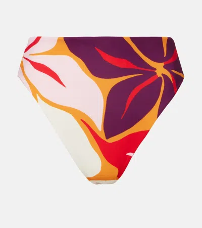 Cala De La Cruz Lulu Printed Bikini Bottoms In Multi