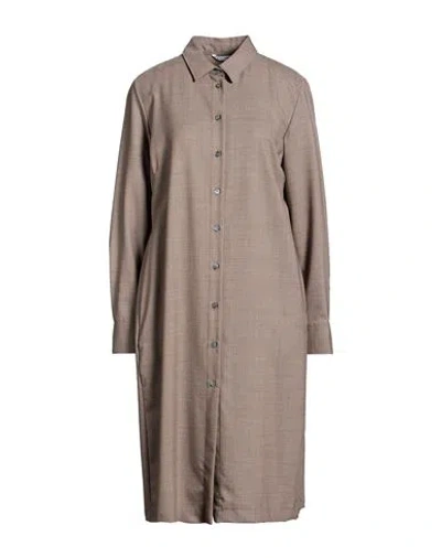 Caliban Woman Midi Dress Light Brown Size 14 Virgin Wool, Elastane