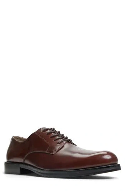 Call It Spring Donatello Derby In Cognac