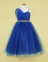 Calla Collection One Shoulder Beaded Flower Girl Dress In Blue