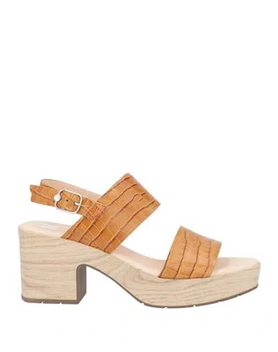 Callaghan Adaptaction Woman Sandals Mustard Size 8 Leather In Orange