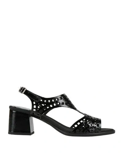 Callaghan Woman Sandals Black Size 6 Textile Fibers