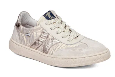 Callaghan Women's 35000 Lace-up Sneaker In Beige In White