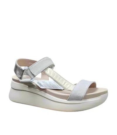 Callaghan Women's Pesca Sandal In Marfil