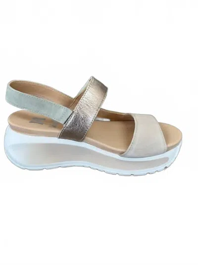 Callaghan Women's Pesca Shoes In Beige In Multi