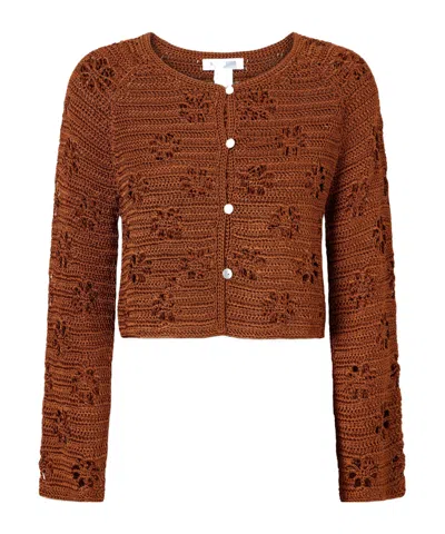 Calle Del Mar Cropped Crocheted Cardigan In Burgundy