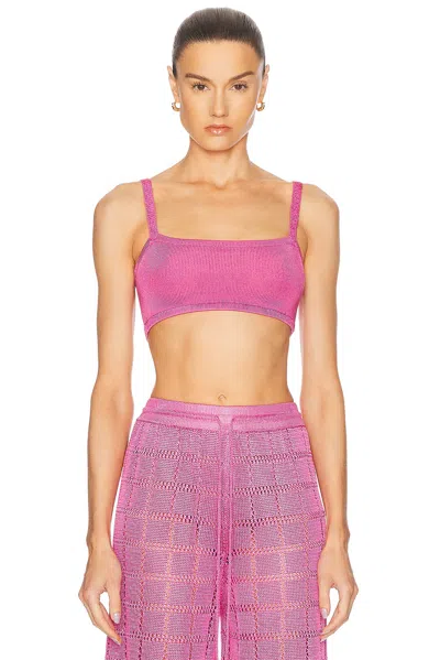 Calle Del Mar Knit Bandeau Top