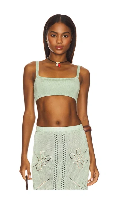 Calle Del Mar Knit Bandeau Top In Green