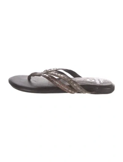 Pre-owned Calleen Cordero Leather Flip Flops In Brown