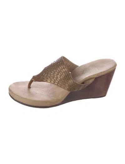 Pre-owned Calleen Cordero Leather Studded Accents Flip Flops In Brown