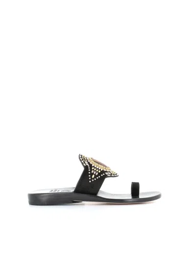 Calleen Cordero Mule Rocal In Black