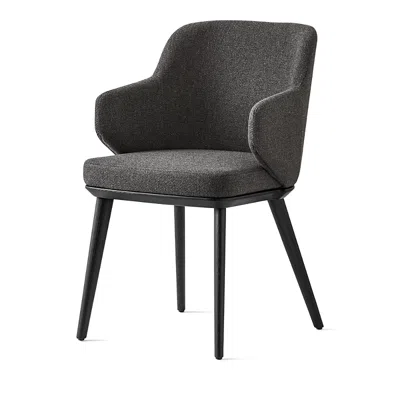 Calligaris Foyer Arm Chair In Ash Gray