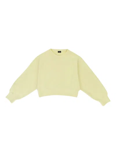 Callipygian Cropped Sweater In Yellow