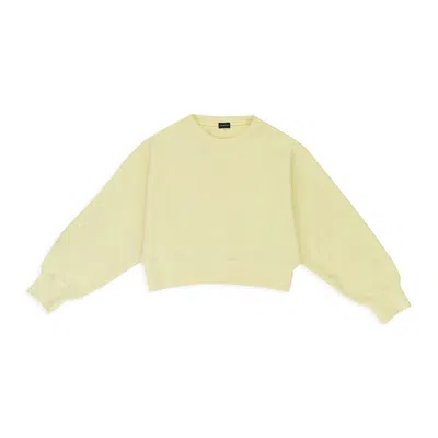Callipygian Rib Pullover Bright Yellow-green Sweater