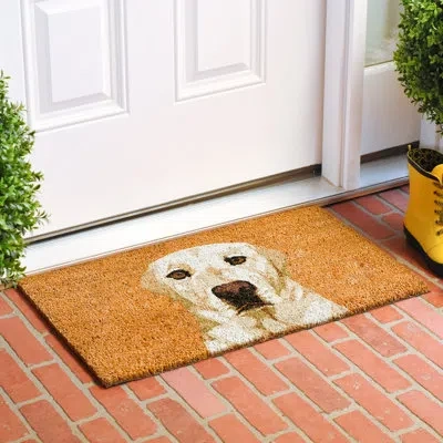 Calloway Mills 36 In. X 24 In. Non-slip Door Mat