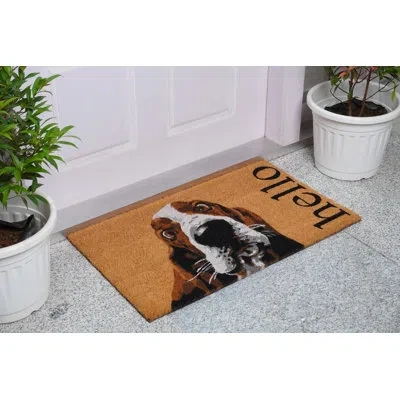 Calloway Mills 36 In. X 24 In. Non-slip Door Mat