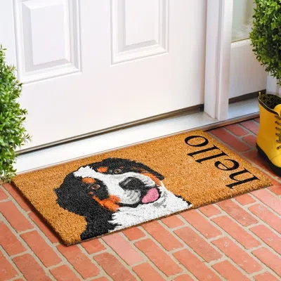 Calloway Mills 36 In. X 24 In. Non-slip Door Mat