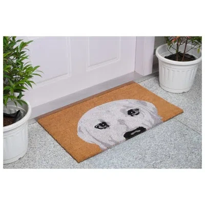 Calloway Mills 36" X 24" Non-slip Door Mat In Multi