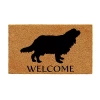 Calloway Mills Cavalier King Charles Spaniel Outdoor Rectangular Doormat In Brown