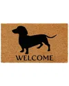Calloway Mills Dachshund Outdoor Rectangular Doormat In Brown