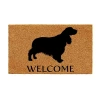 Calloway Mills English Springer Spaniel Outdoor Rectangular Doormat In Brown