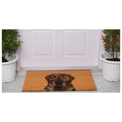 Calloway Mills Labrador 17" X 29" Non-slip Door Mat In Brown