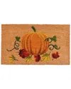 Calloway Mills Nature's Bounty Doormat