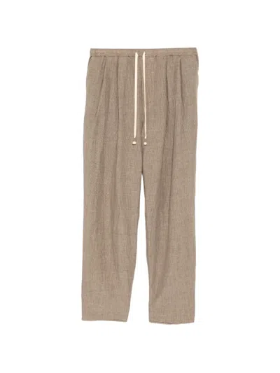 Calmlence Pleated Tapered Trousers In Neutral