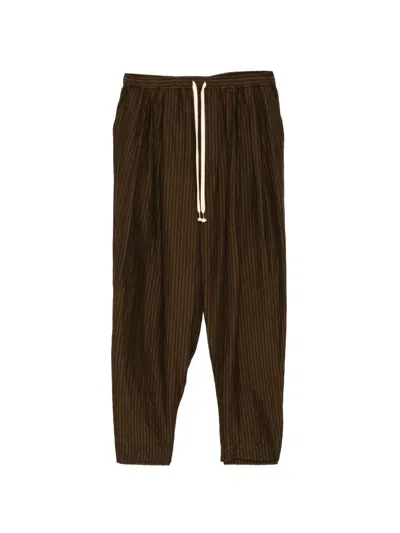 Calmlence Striped Trousers In Brown