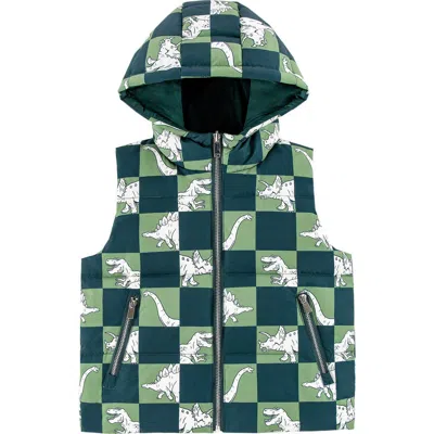 Calonie Kids' Dylan Reversible Down Hooded Puffer Vest In Multi