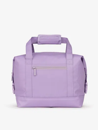 Calpak Insulated 17l Soft-sided Cooler In Orchid