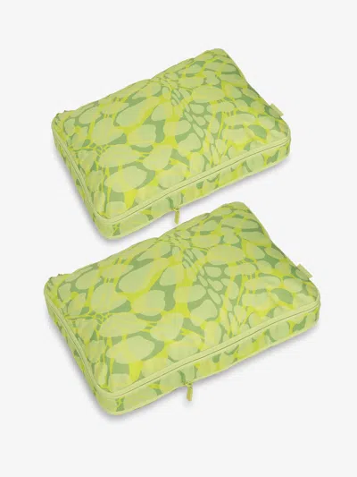 Calpak Large Compression Packing Cubes In Lime Viper