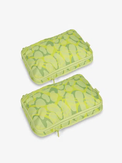 Calpak Medium Compression Packing Cubes In Lime Viper