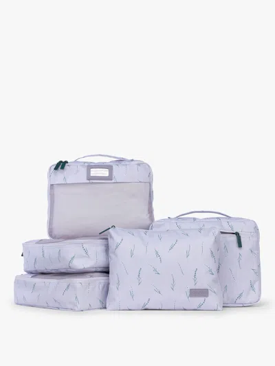 Calpak Packing Cubes Set (5 Pieces) In Purple