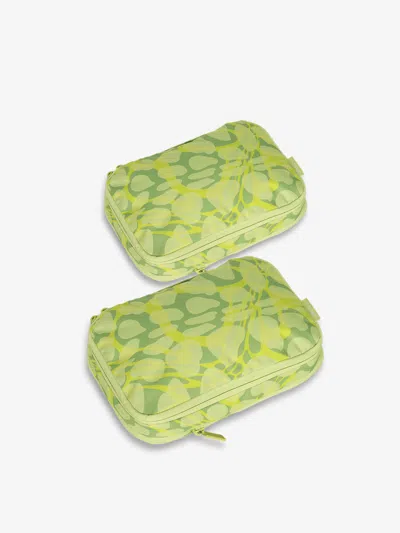Calpak Small Compression Packing Cubes In Lime Viper