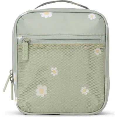 Calpak The Everything Packing Cube In Green