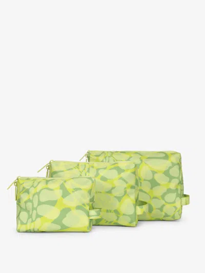 Calpak Water Resistant Zippered Pouch Set (3 Pieces) In Lime Viper In Green