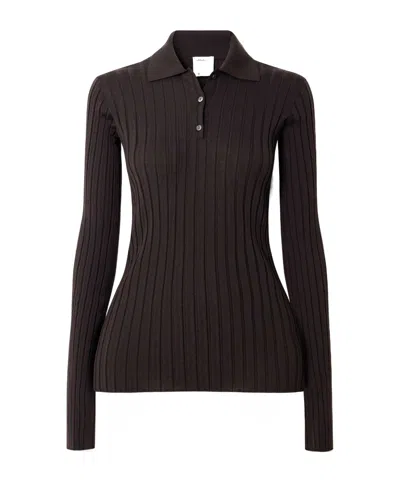 Calvin Klein Amber Ribbed Wool Polo Sweater In Brown