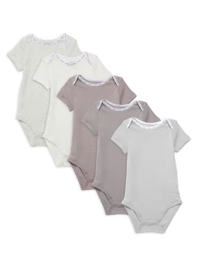 Calvin Klein Baby Girl's 5-pack Bodysuit Set In Grey Multi