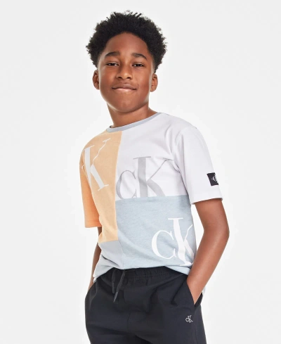 Calvin Klein Kids' Big Boys Block Party Short-sleeve Cotton Graphic T-shirt In Quarry