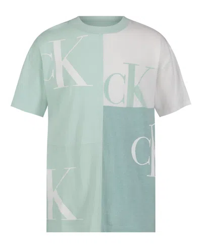Calvin Klein Kids' Big Boys Block Party Short Sleeve T-shirt In Light Sage Heather