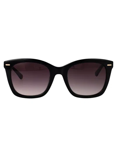 Calvin Klein Black Acetate Sunglasses
