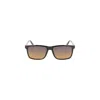 Calvin Klein Black Plastic Sunglasses