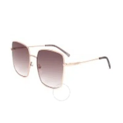 Calvin Klein Bordeaux Gradient Square Ladies Sunglasses Ck22121s 770 57 In Brown